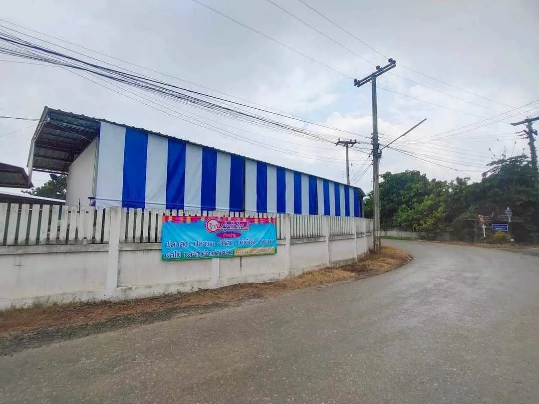 LINE_ALBUM_AR ผ้าใบ_250624_29